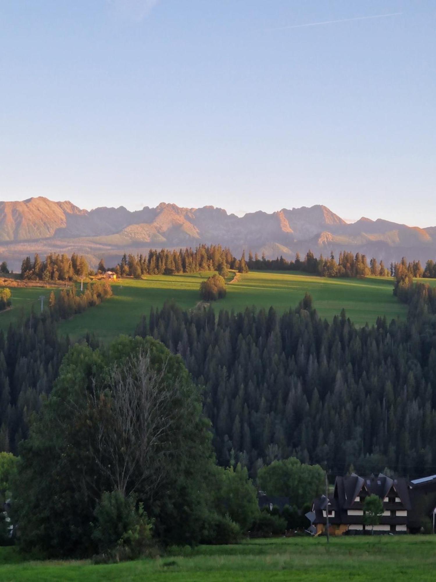 Apartamenty I Pokoje W Willi Na Ubocy Suche Exterior foto